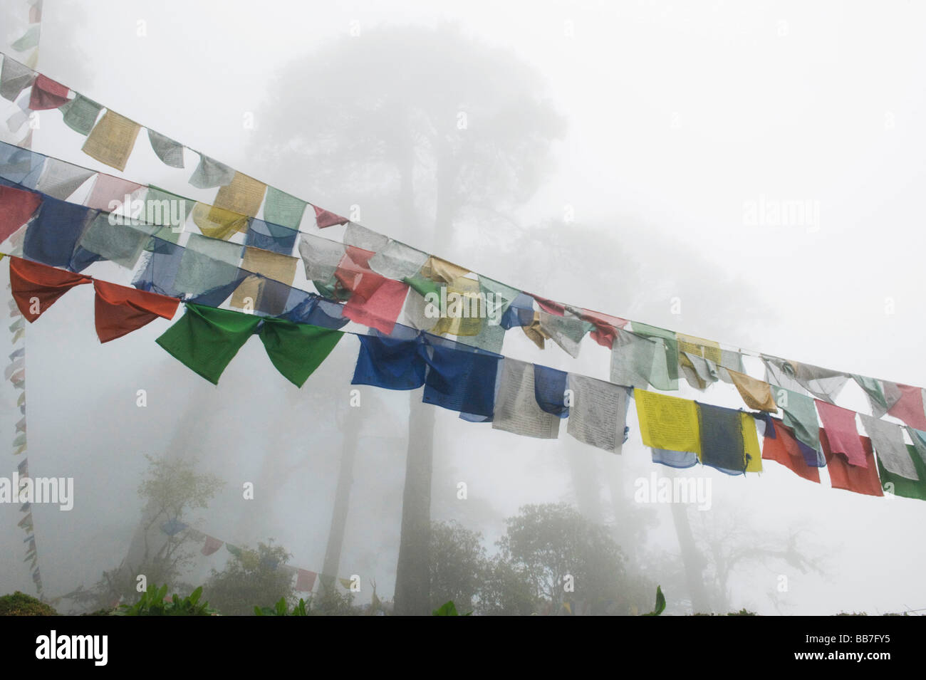 Les drapeaux de prières et d'arbres dans le brouillard, Dochu La Pass, 3050 mètres de haut, le Bhoutan Banque D'Images