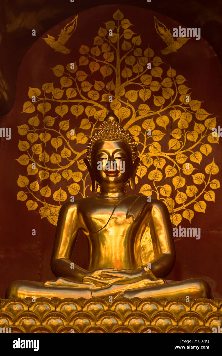 Statue de Bouddha, Chiang Mai, Thaïlande, Asie du Nord Banque D'Images