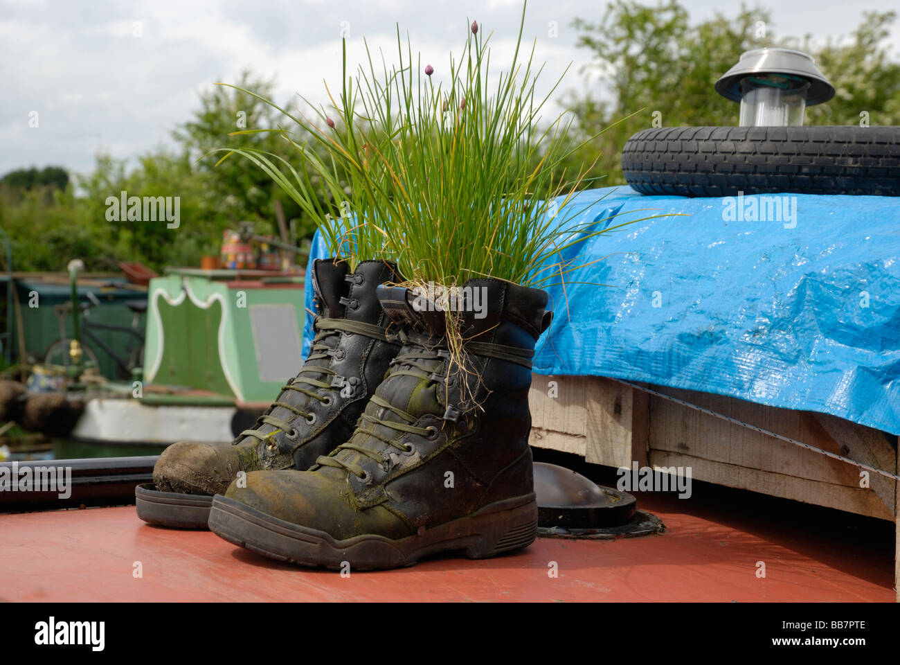 La ciboulette et cultivé dans le vieux cuir bottes sur le toit d'un bateau étroit. Du canal de Shropshire Union, l'Angleterre. Banque D'Images