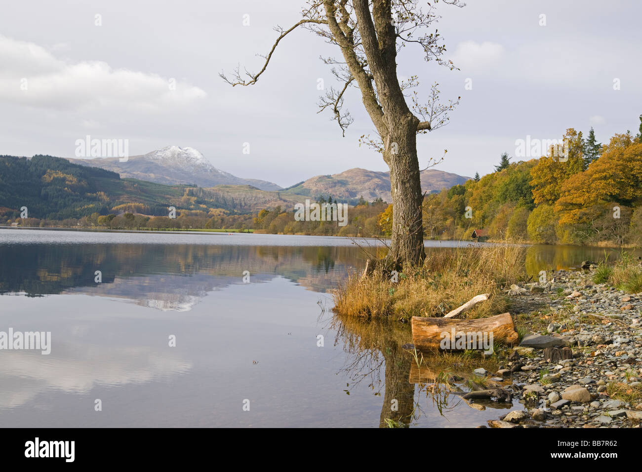 Couleurs d'automne dans les Trossachs Loch Ard à Ben Lomond à Perthshire en Écosse Novembre 2008 Banque D'Images