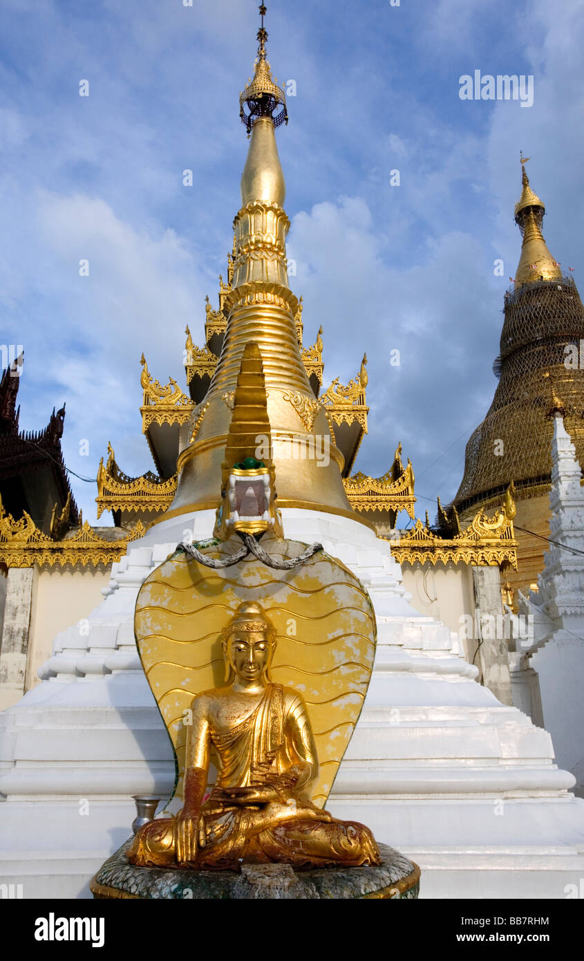 Statue de Bouddha. Paya Shwedagon. Yangon. Myanmar Banque D'Images