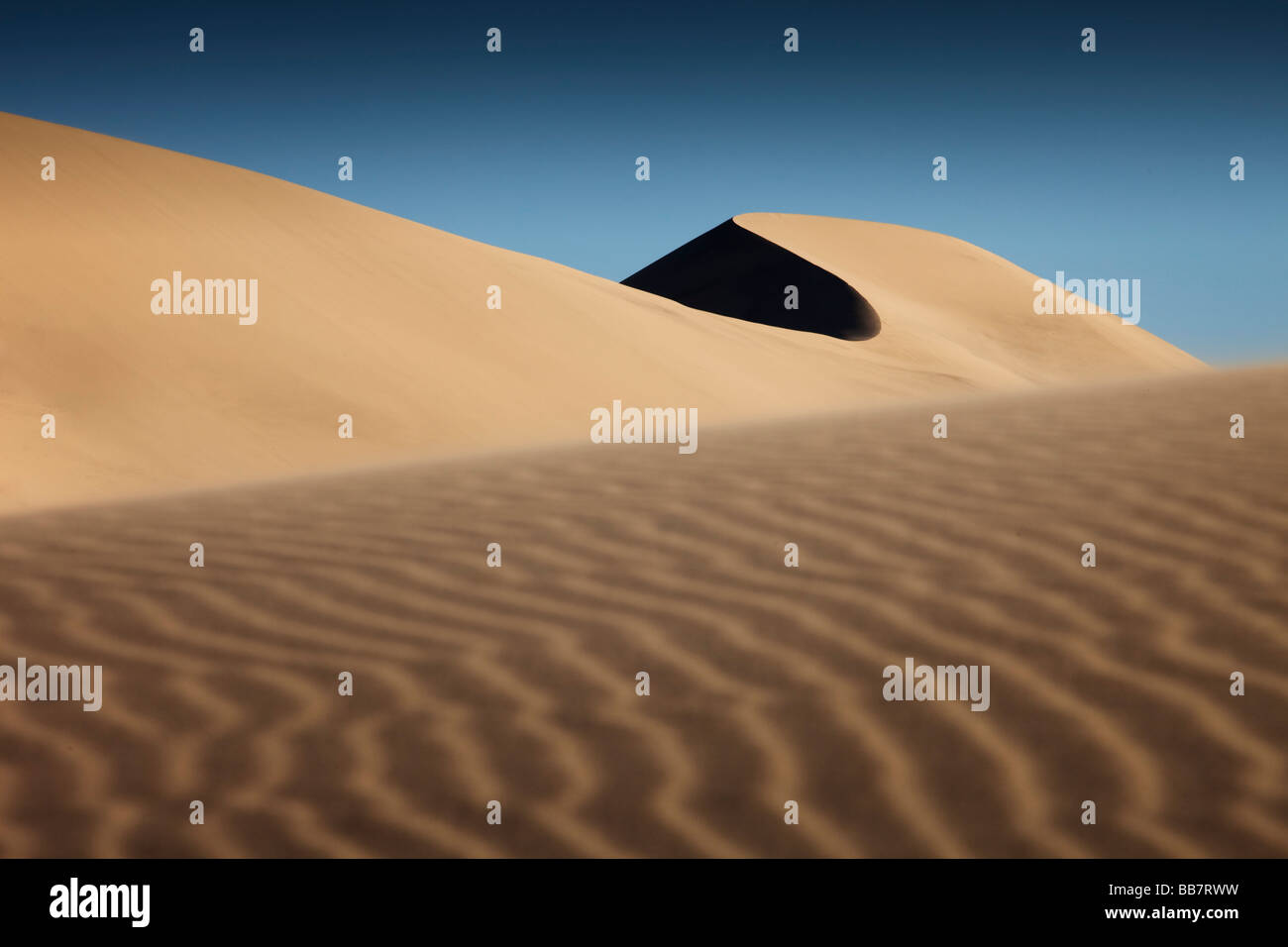 Les patrons de sable sur les Dunes d'Eureka dans Death Valley National Park en Californie USA Banque D'Images
