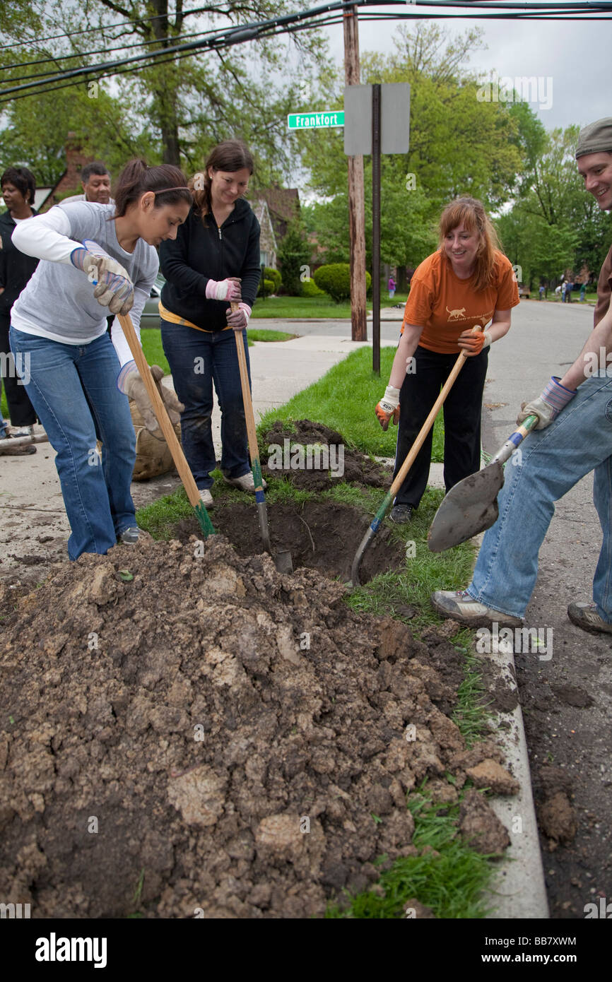 Planter des arbres dans les volontaires de quartier Detroit Banque D'Images