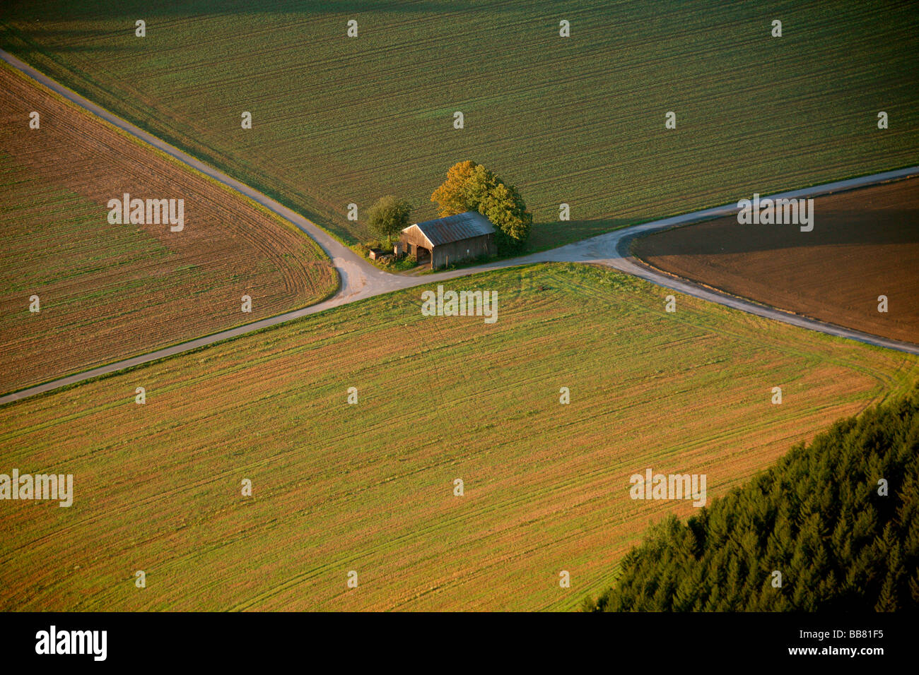 Photo aérienne, champs, prairies, Meschede Buchholz, Meschede, Coesfeld, Rhénanie-Palatinat, Hesse, Allemagne, Eur Banque D'Images