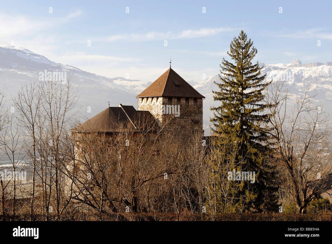 Château de Vaduz, Principauté du Liechtenstein, Vaduz, Europe Banque D'Images