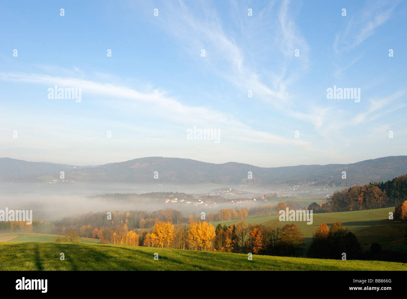 Lalling, forêt de Bavière, la Basse Bavière, Allemagne, Europe Banque D'Images