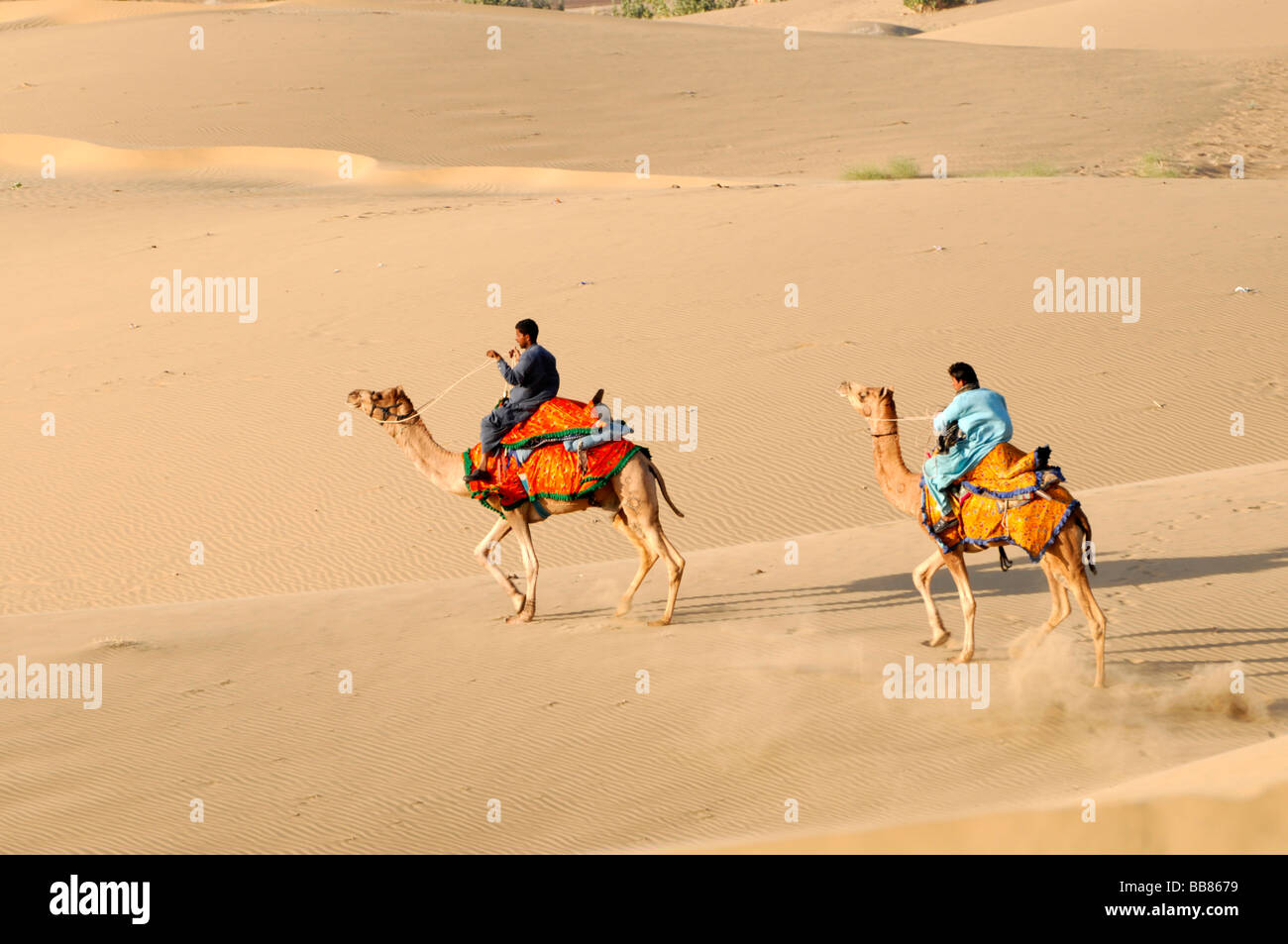 Les chameliers à l'Inde est plus longue, les dunes de sable de Sam, Rajasthan, Inde du Nord, l'Asie Banque D'Images