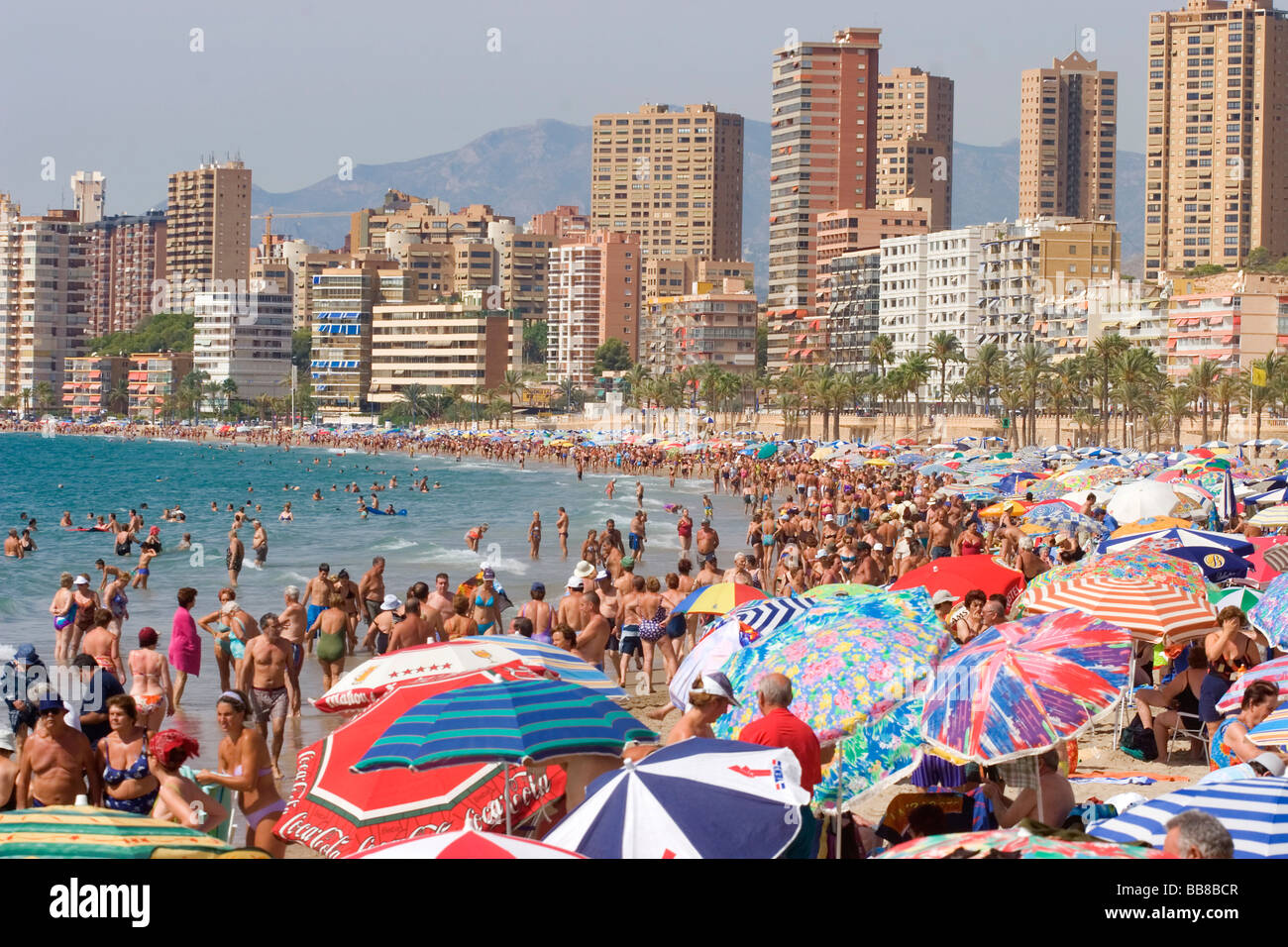 Plage, PlayaPoniente, tourist hotspot, Benidorm, Costa Blanca, Espagne Banque D'Images