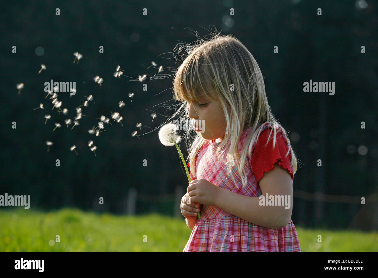 Fille avec boule de soufflage Banque D'Images