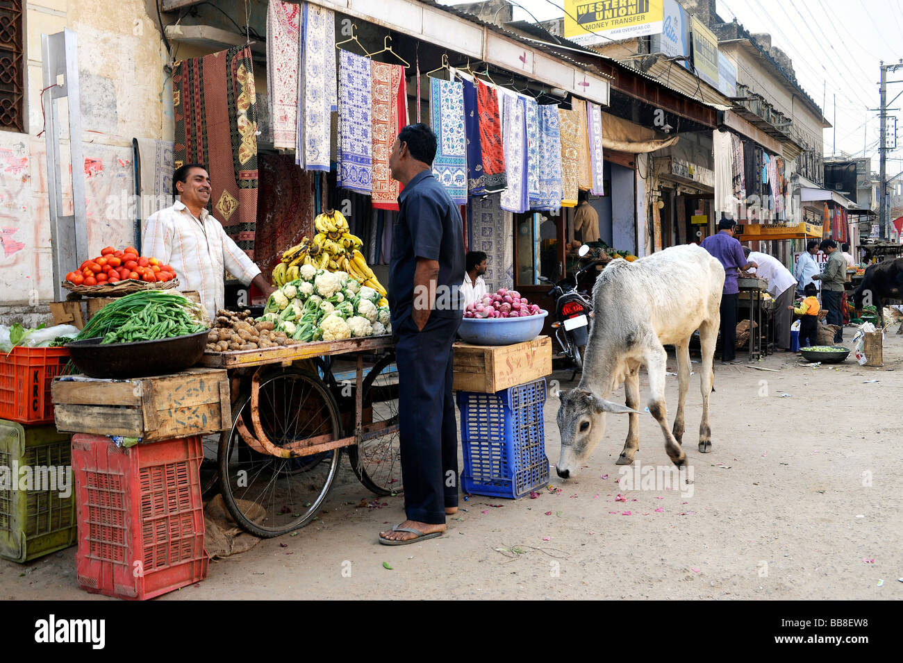 Scène de rue à l'épicerie et de Holy Cow, Mandawa, la région de Shekhawati, Rajasthan, Inde du Nord, en Asie du Sud Banque D'Images