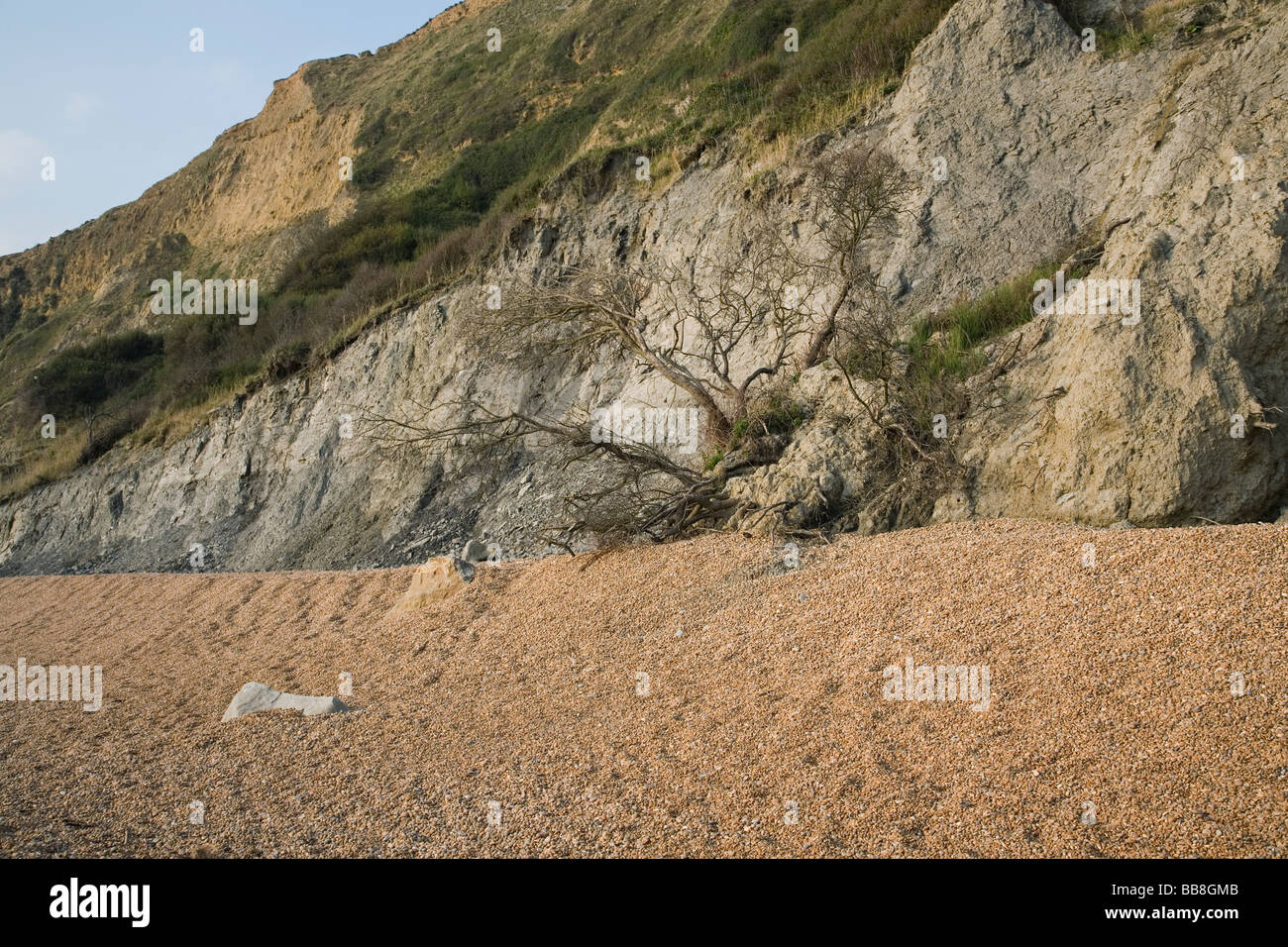 La preuve d'un effondrement de falaise à Charmouth beach Banque D'Images