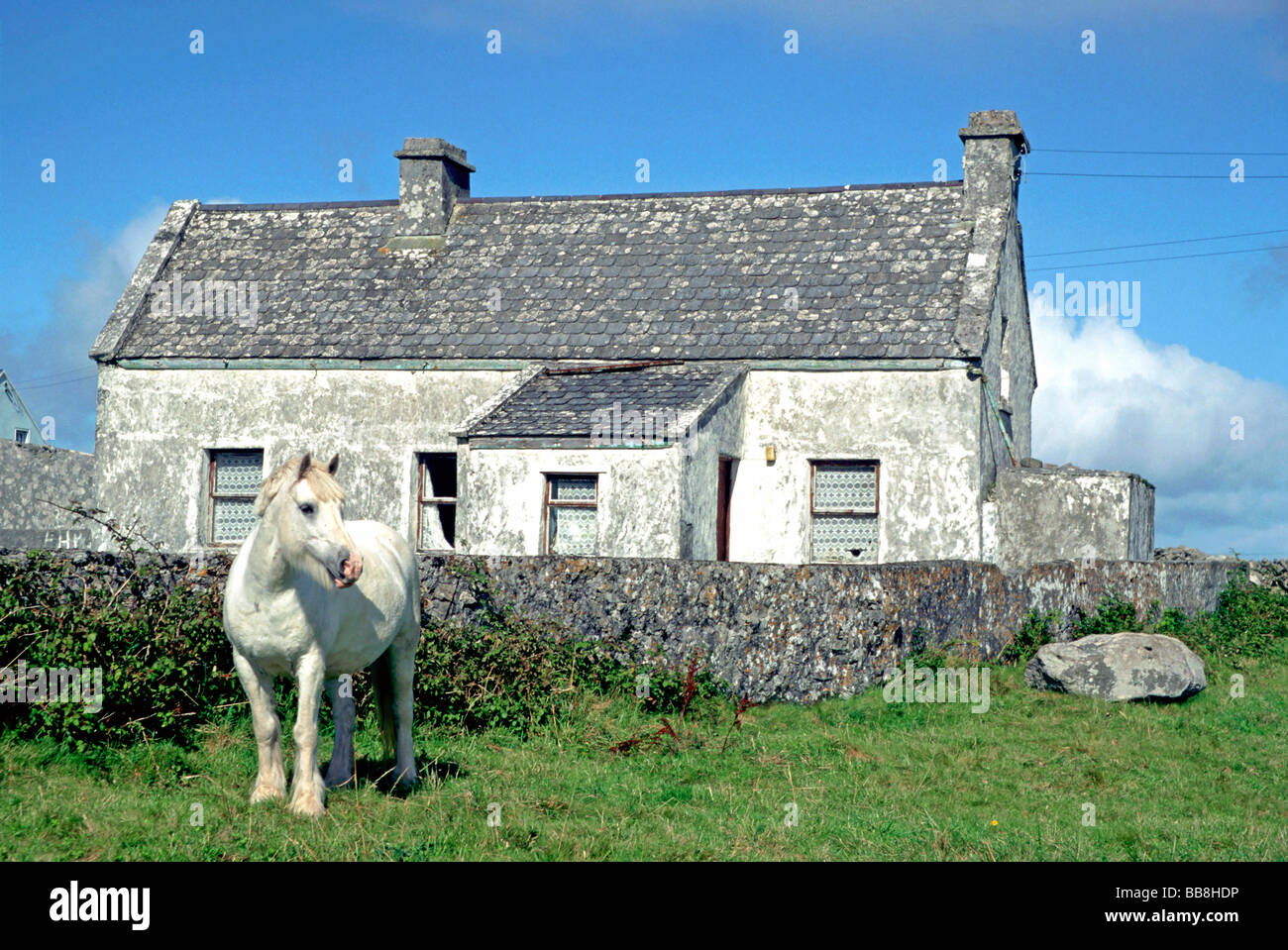 Un cheval gris en face d'une maison en pierre grise, l'Inishmore, Îles d'Aran, Irlande Banque D'Images
