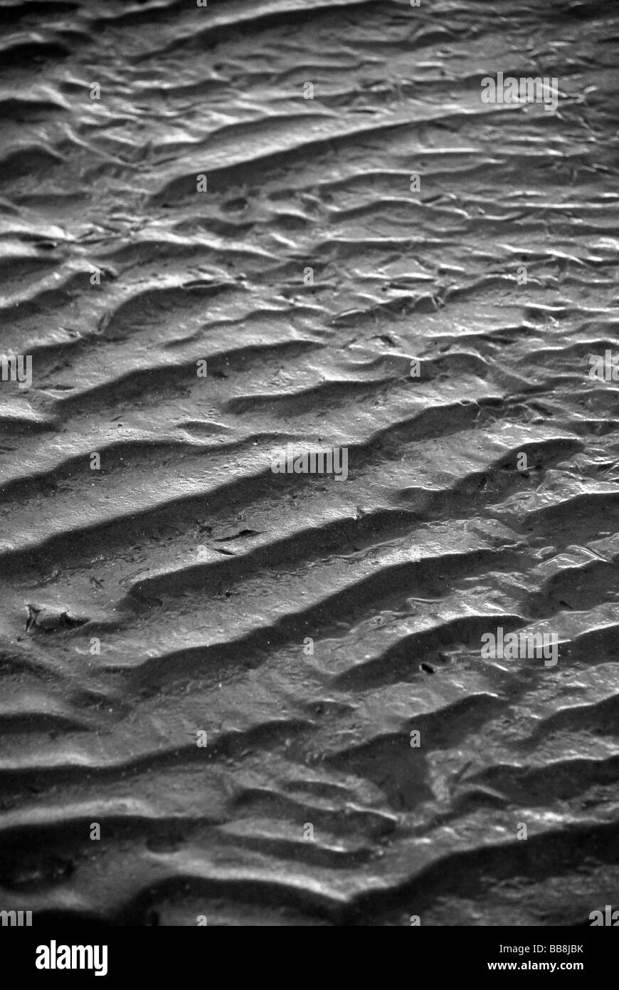 Ondulations dans le sable Banque D'Images