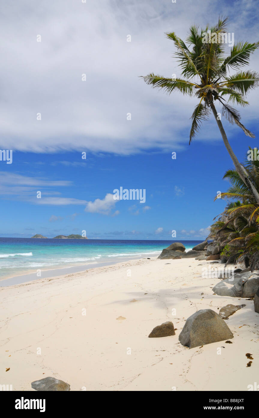 Plage de sable avec des cocotiers, Marianne Island, Seychelles Banque D'Images