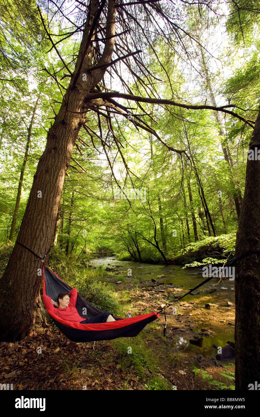 Woman relaxing in hammock par river - Pisgah Forest National - Brevard, Caroline du Nord. Banque D'Images