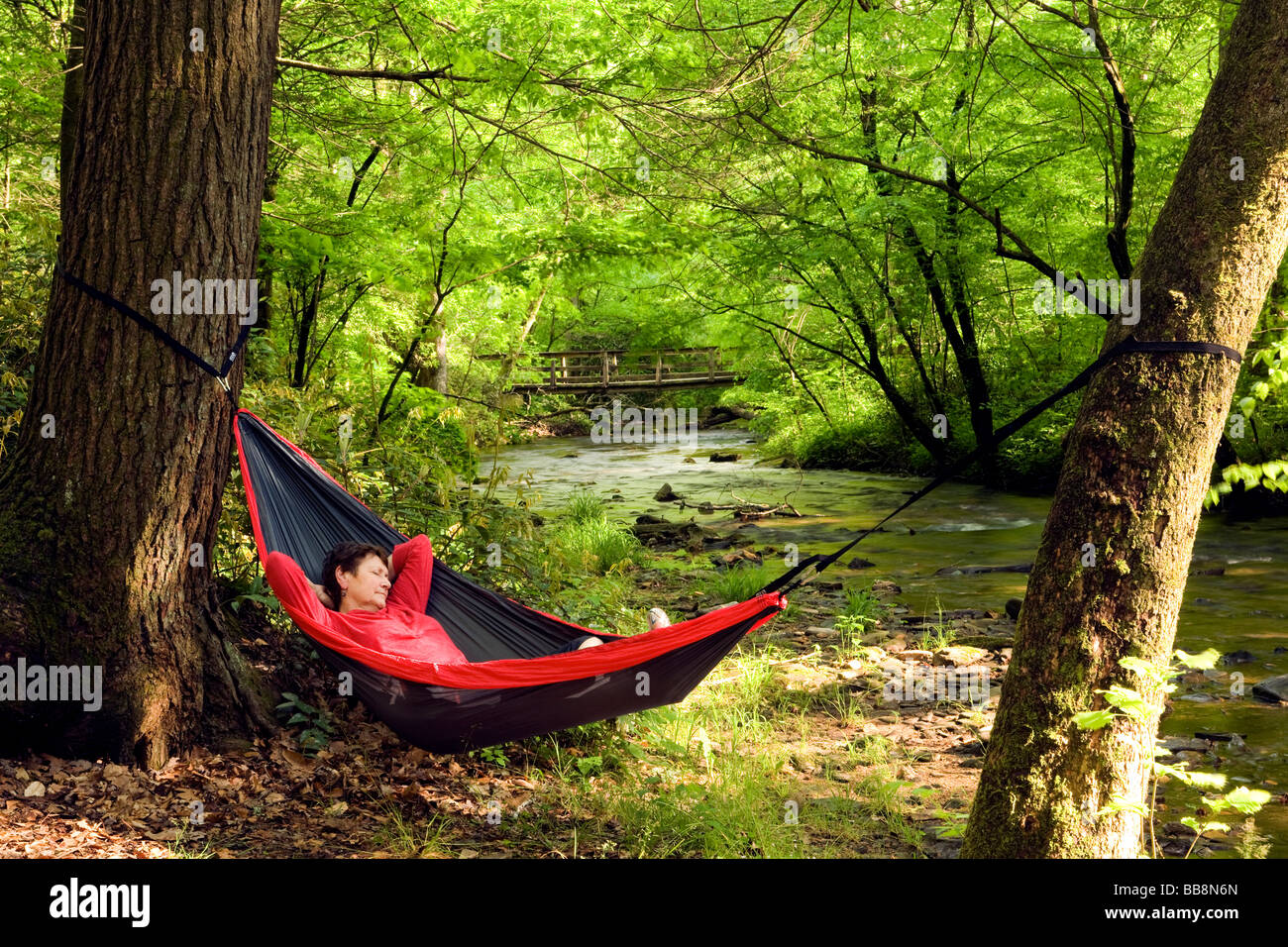 Woman relaxing in hammock par river - Pisgah Forest National - Brevard, Caroline du Nord. Banque D'Images