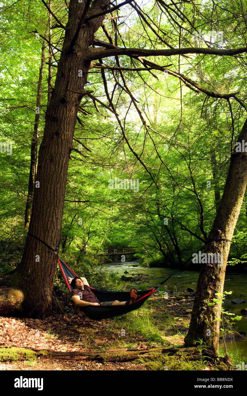 Man relaxing in hammock par river - Pisgah Forest National - Brevard, Caroline du Nord. Banque D'Images