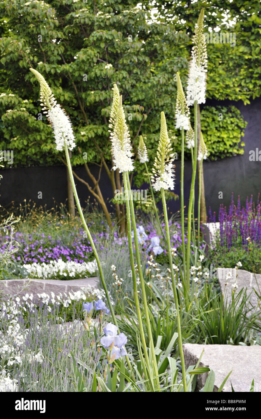 Daily Telegraph Garden Chelsea 2009 designer Ulf Nordfjell Banque D'Images