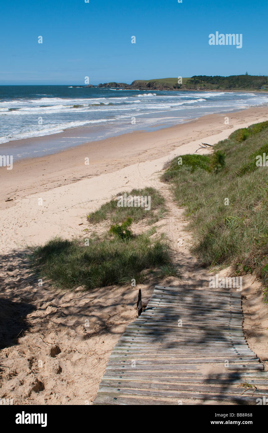 Emerald Beach Région de Coffs Harbour NSW Australie Banque D'Images