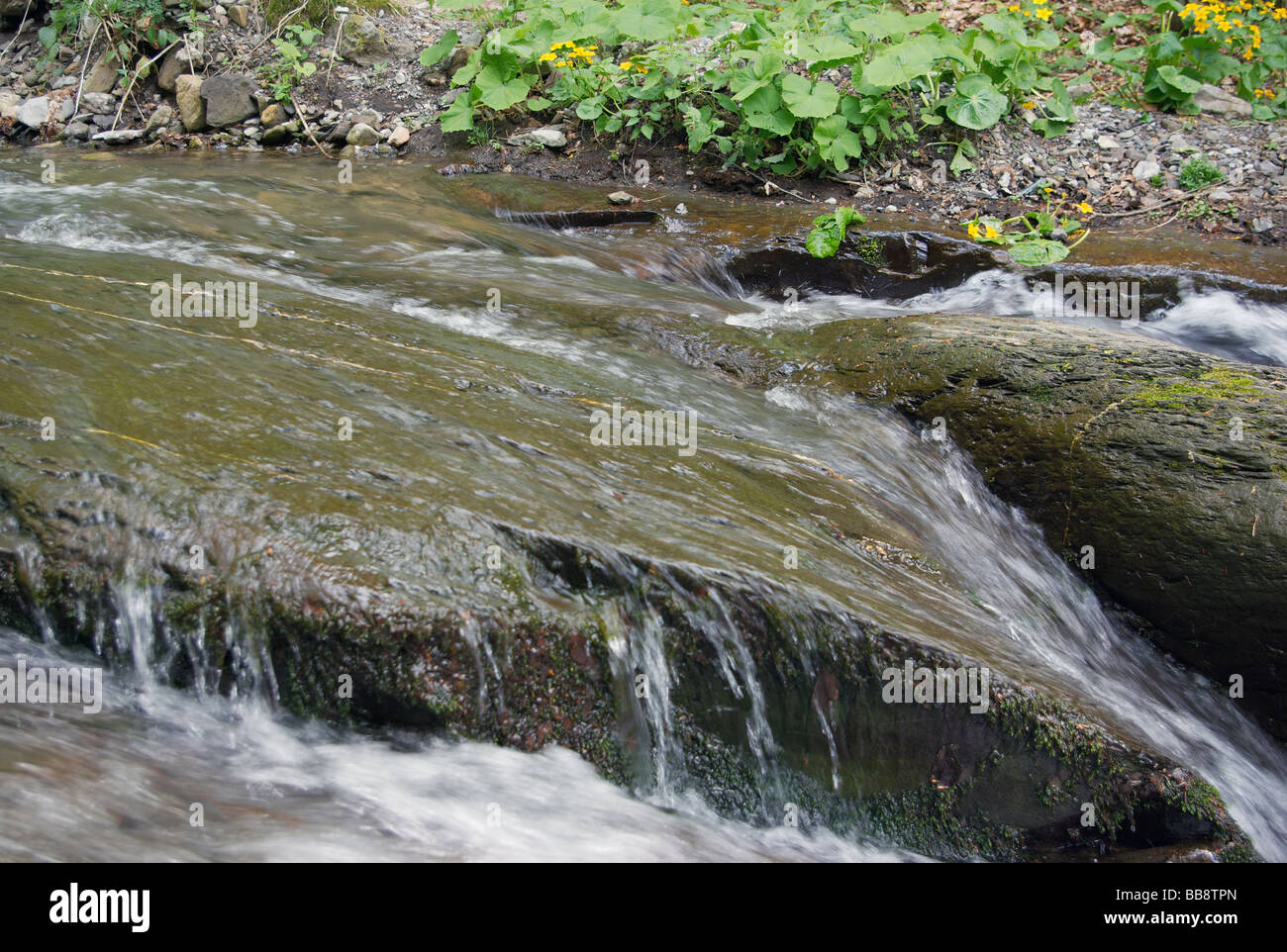 Flux de précipitation parmi les roches, Balkan Central Parc National, Bulgarie Banque D'Images