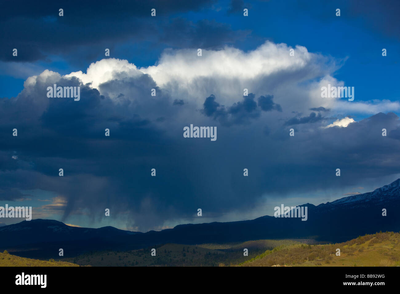 Le Comté de Siskiyou, CA : vue sur le Mont Shasta avec tempête et pluie nuages épars de Shasta Valley Banque D'Images