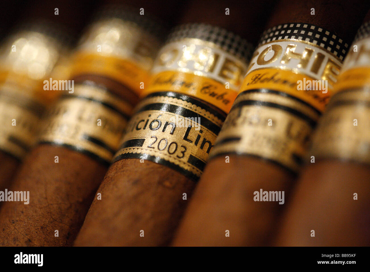 Sélection de cigares cubains. Banque D'Images