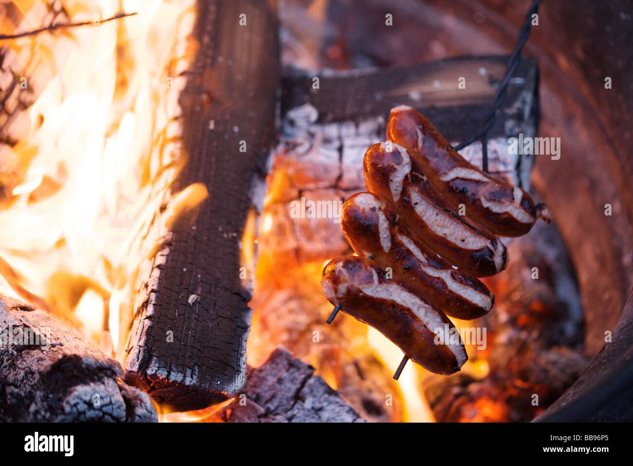 Faire griller des hot-dogs sur un feu de camp Banque D'Images
