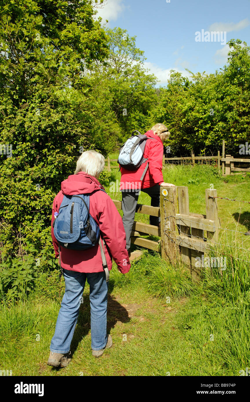 Les marcheurs femelle de la randonnée à travers un champ grimper sur un montant en bois Banque D'Images