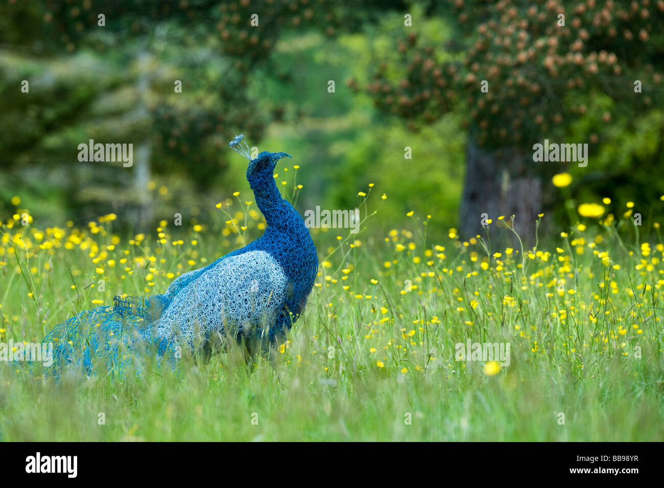 Le fil de poulet peacock sculpture à Sir Harold Hillier Gardens, Romsey Hampshire. UK Banque D'Images