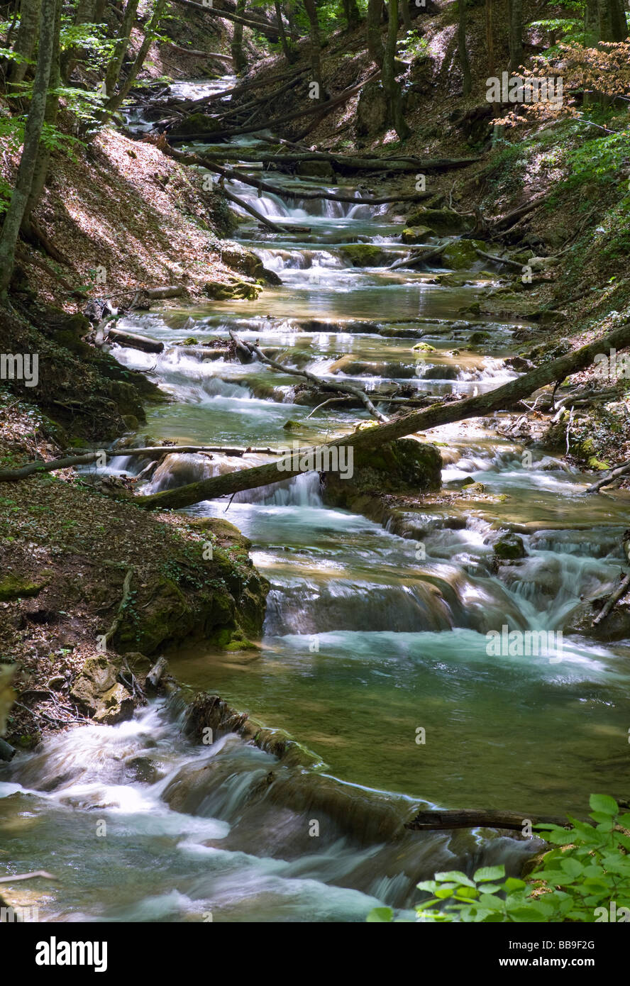 Rides et cascades sur la rivière de montagne printemps en forêt sombre. Une exposition à long terme. Banque D'Images