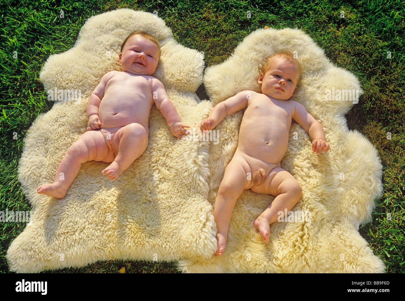 Peau D Agneau Banque D Image Et Photos Alamy
