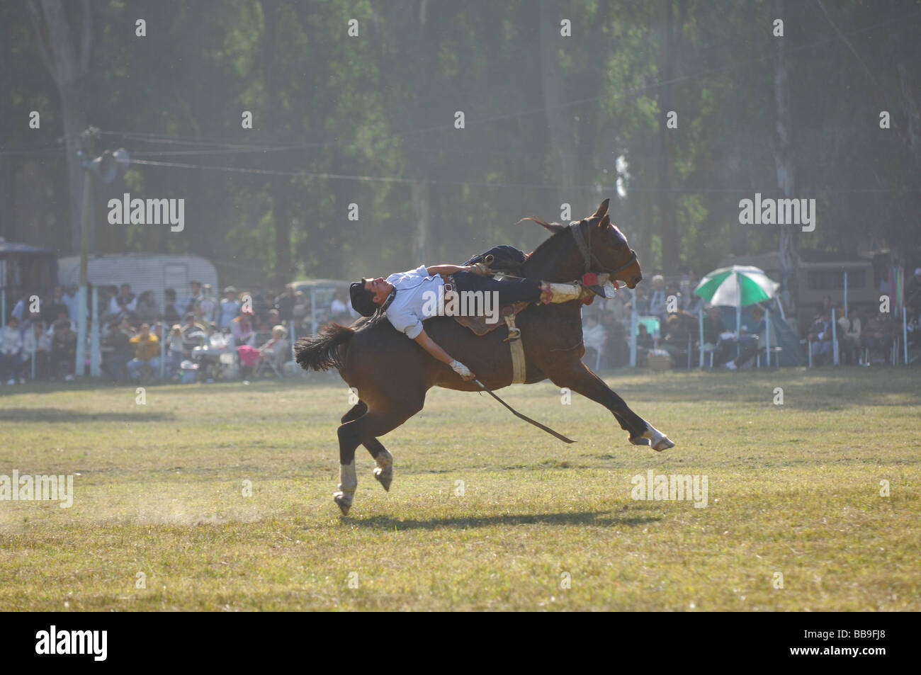 Équitation un cheval récupération gaucho Banque D'Images