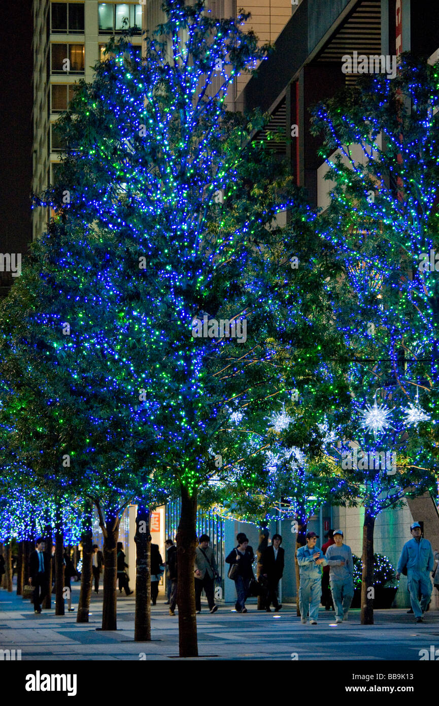 Arbres lumineux près de Akiba Tashiro dori street quartier Akihabara Tokyo Japon Banque D'Images