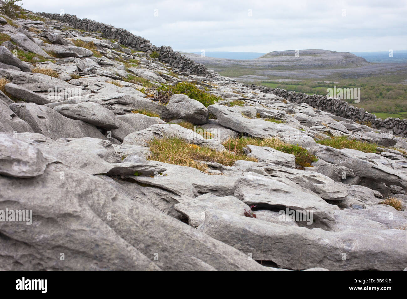 Pavages calcaires de murs en pierre sèche d'Fahee Turloughmore au nord à Burren Comté de Clare Irlande Irlande République d'Irlande Banque D'Images