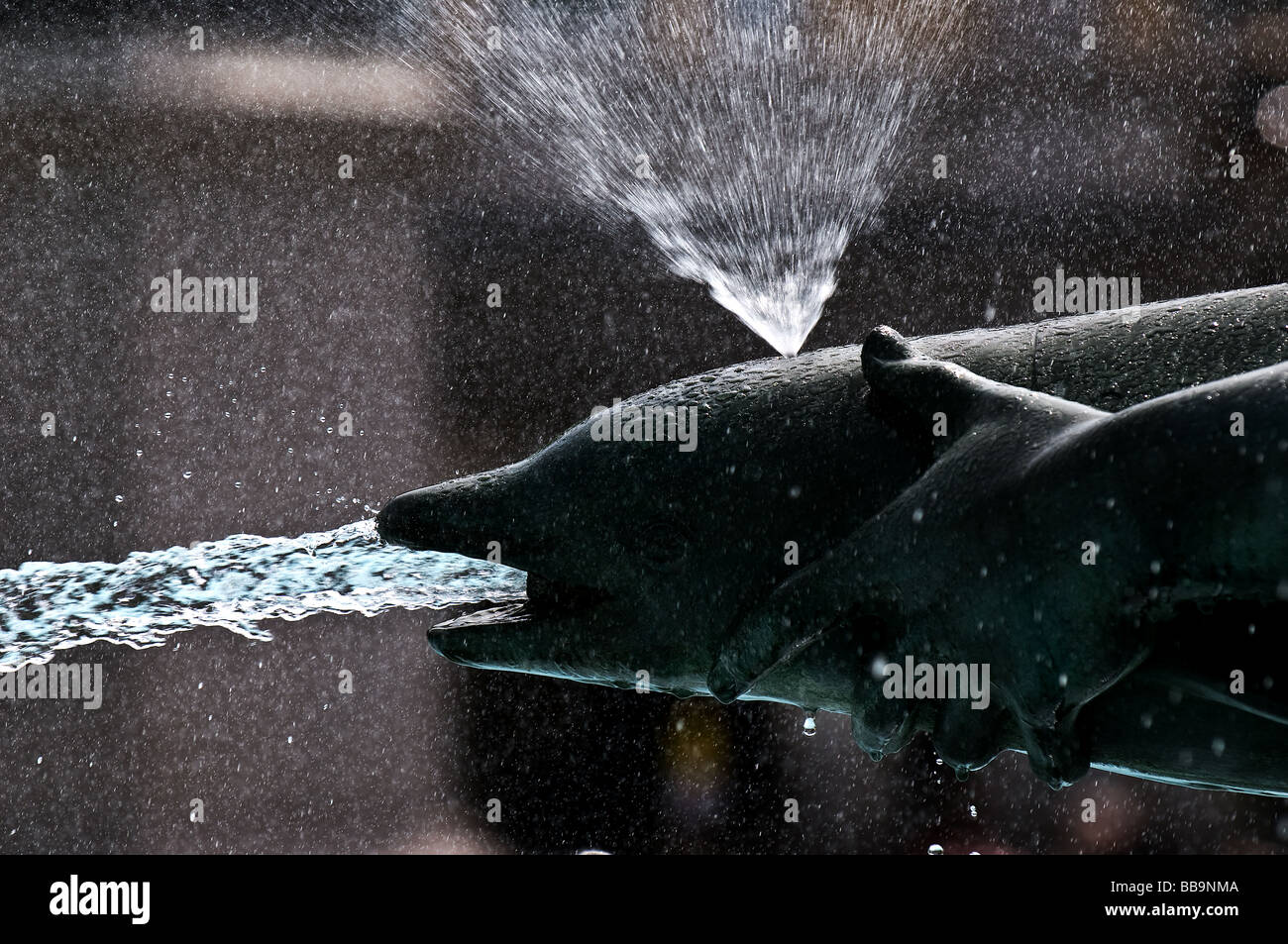 L'explosion de l'eau d'une sculpture à Trafalgar Square à Londres. Photo par Gordon 1928 Banque D'Images