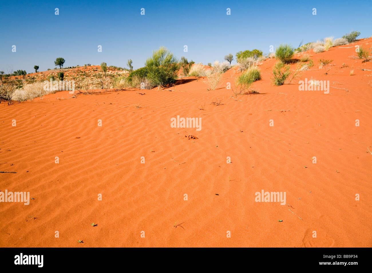Paysage de désert aride de l'Australie centrale, près de Yulara, Territoire du Nord, Australie Banque D'Images