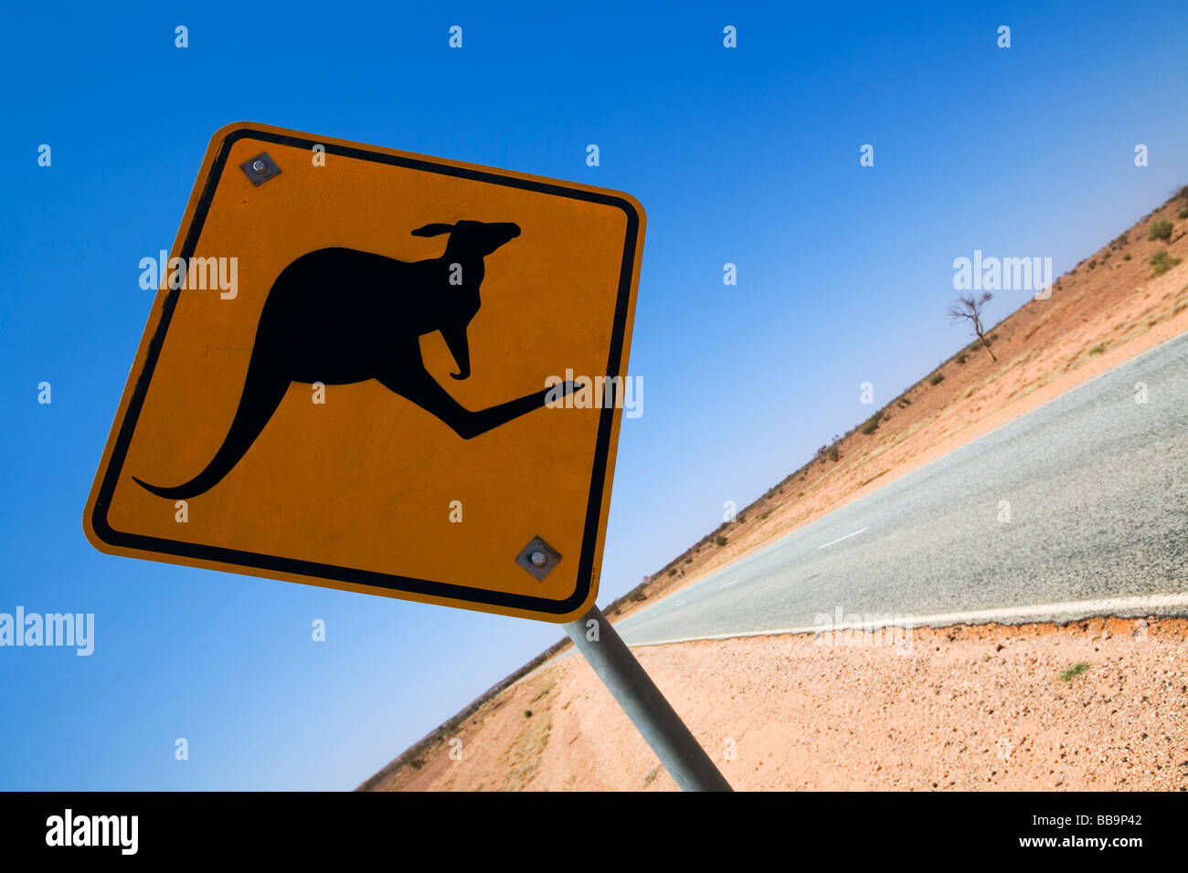 Kangaroo Panneau routier sur une route de l'outback à distance. Territoire du Nord, Australie Banque D'Images