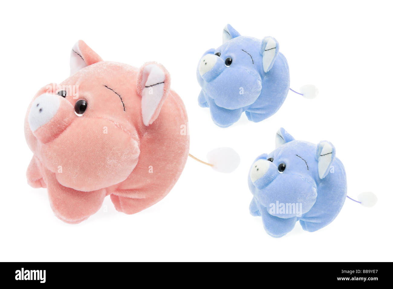 Porcs de peluche Banque D'Images