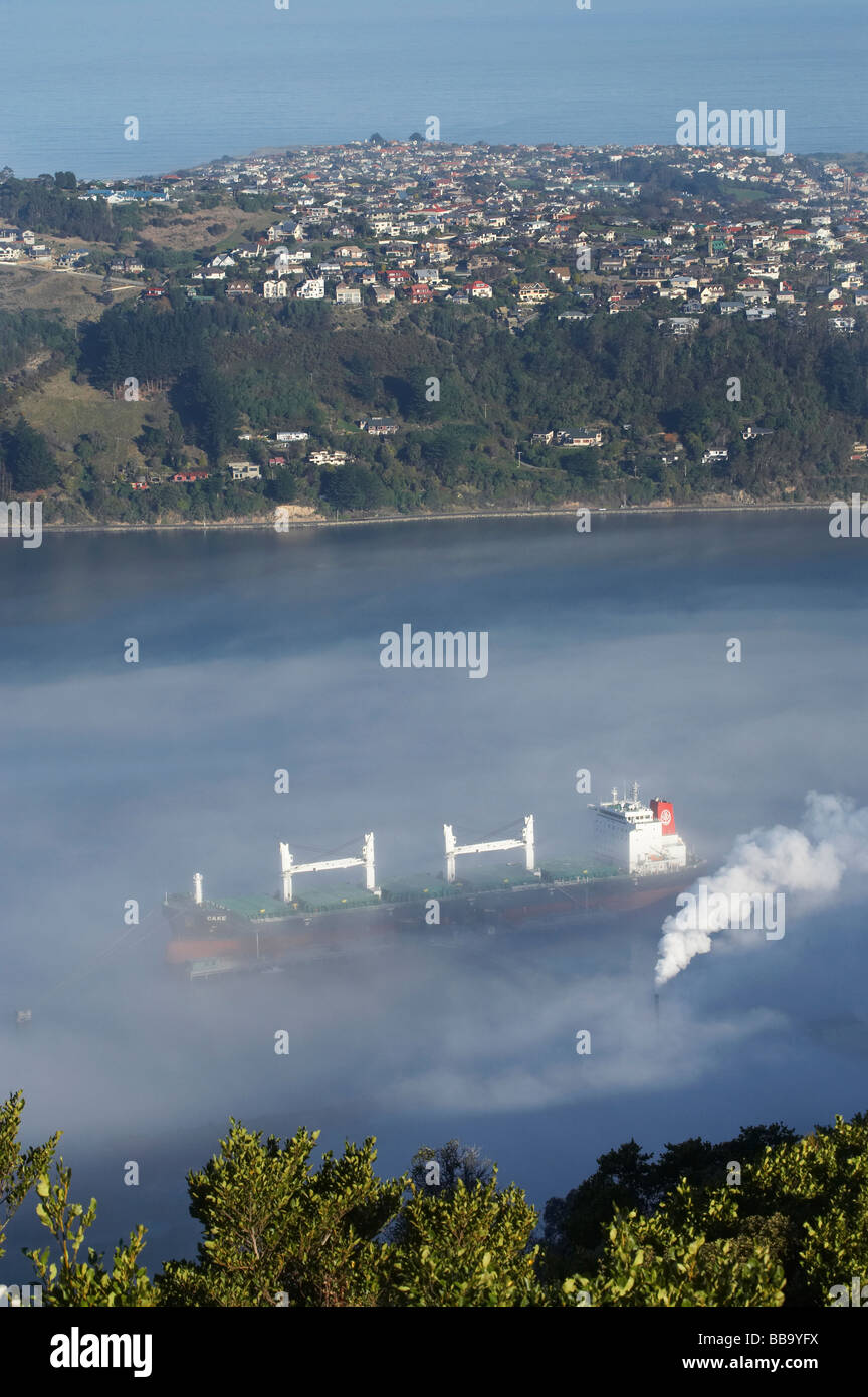 Navire Transporteur de vrac dans le gâteau de brume à Ardleigh Quai d'engrais Ravensbourne Otago Dunedin Nouvelle-zélande Otago Harbour Banque D'Images