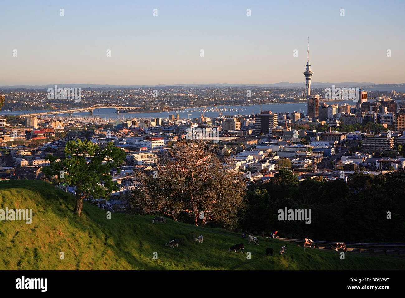 Auckland City, vue de Mt Eden, Auckland, Nouvelle-Zélande Banque D'Images
