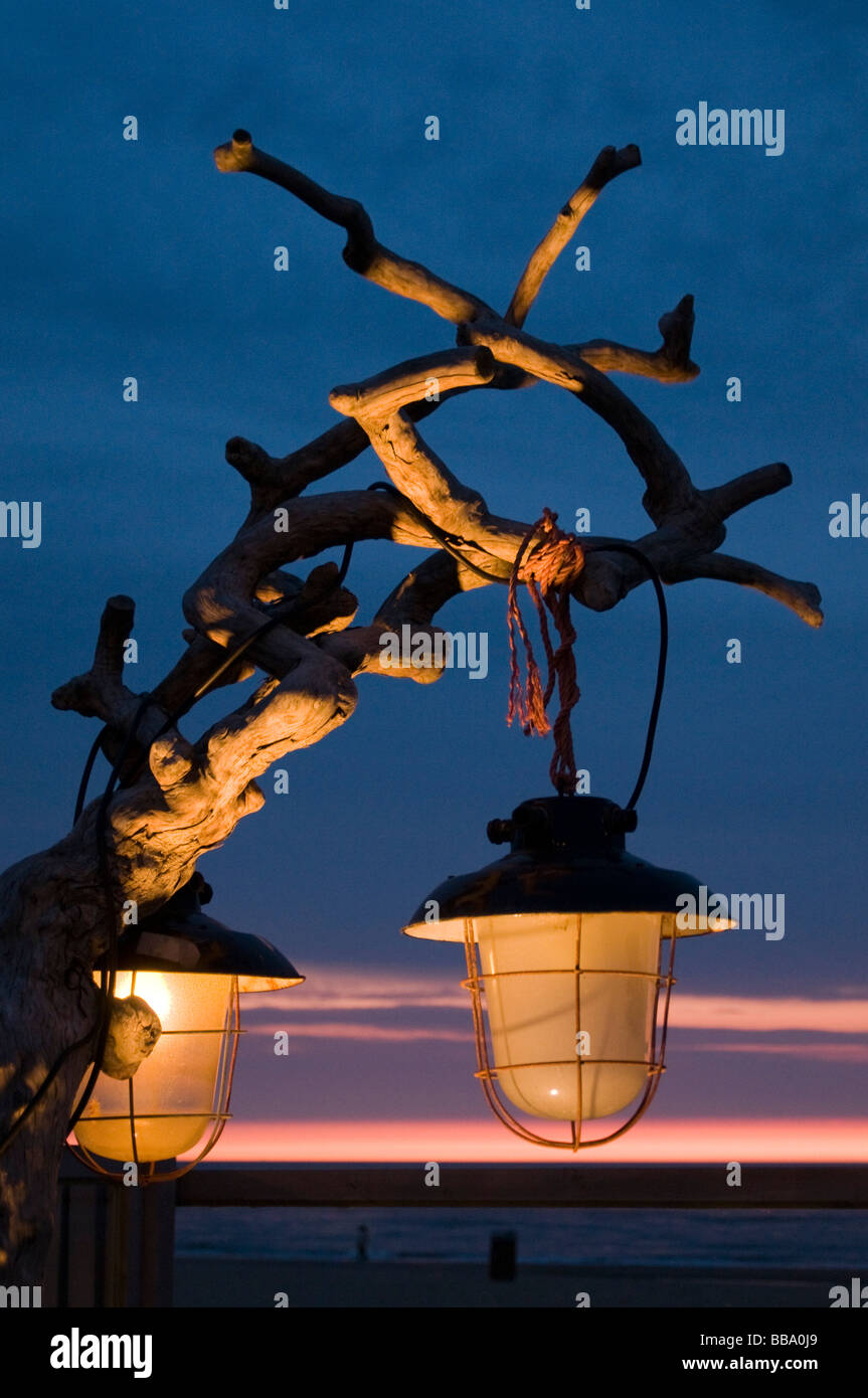 Lanterne sur la branche décorative, plage de Scheveningen, Pays-Bas Banque D'Images
