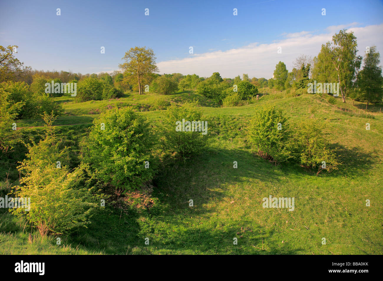 Vert printemps couleurs en collines et de trous de la réserve naturelle nationale de Barnack Village Cambridgeshire Angleterre Banque D'Images