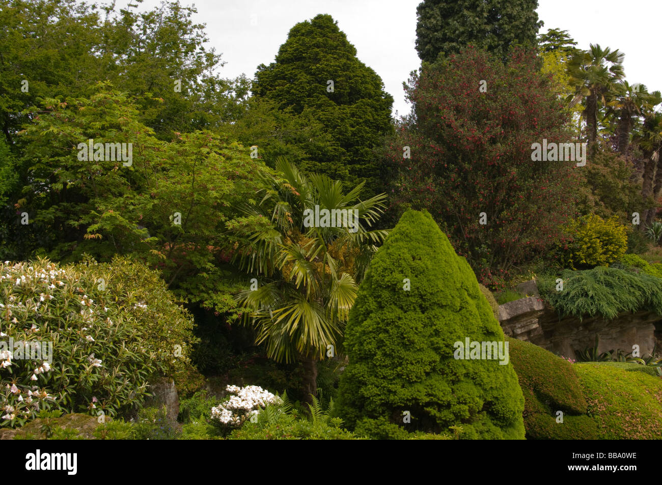 Le Rock Garden à Leonardslee Gardens West Sussex England Banque D'Images