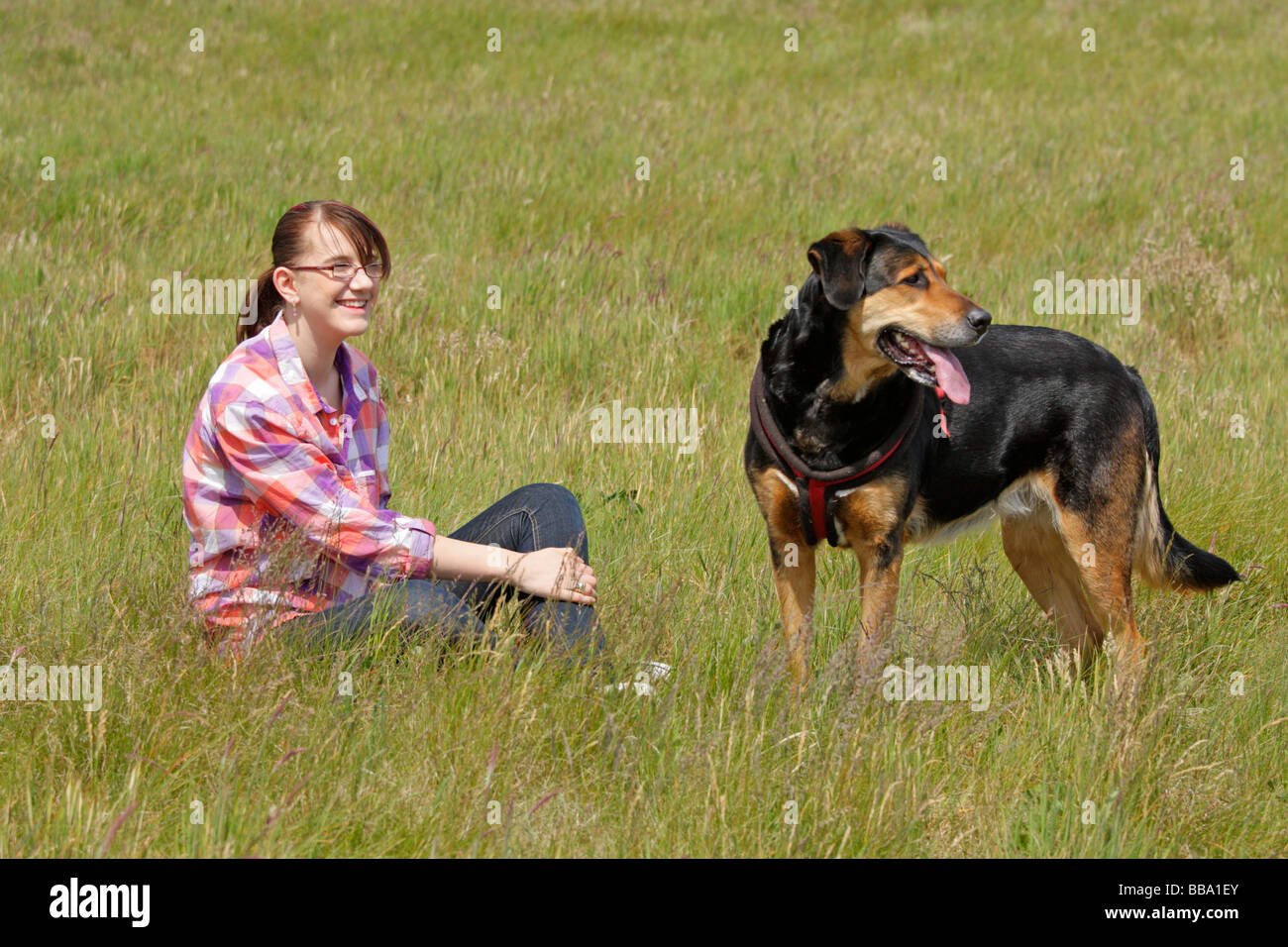 Une jeune fille et sa grand chien Banque D'Images