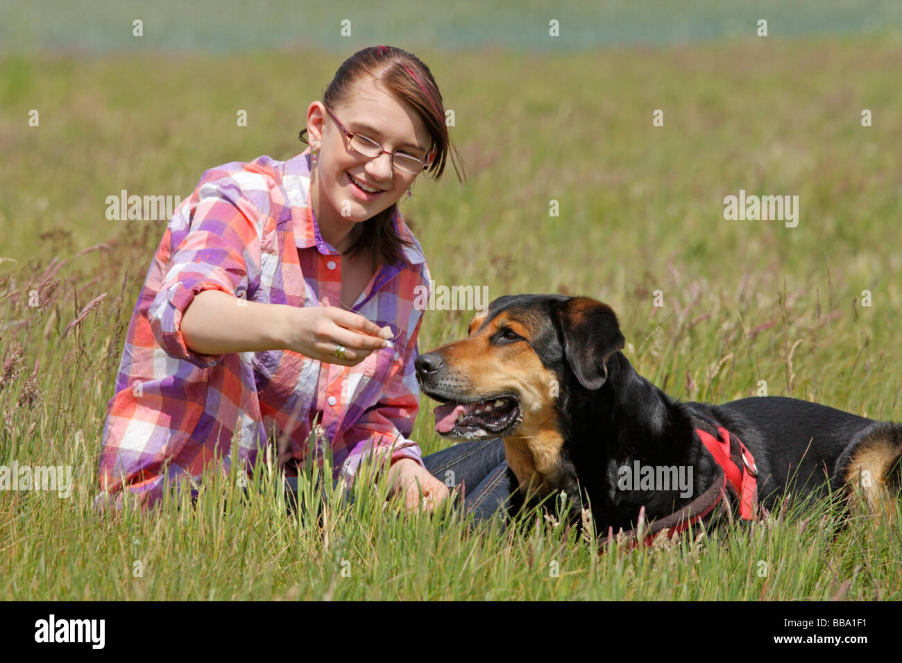 Une jeune fille et sa grand chien Banque D'Images