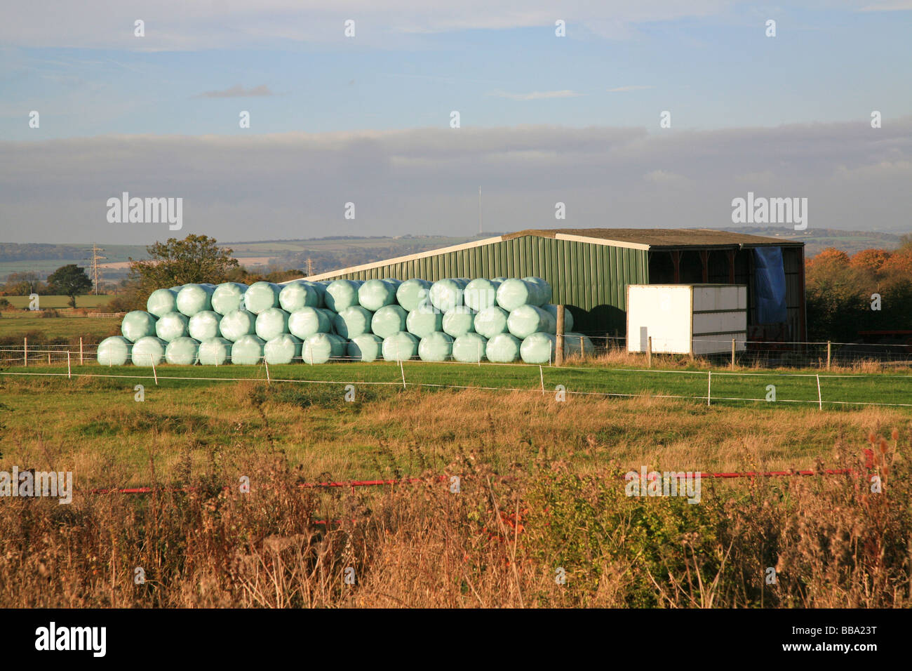 Des balles de foin ou ensilage emballés et empilés contre une grange Banque D'Images