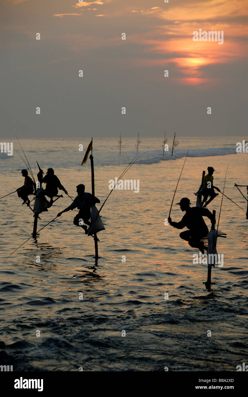 Les pêcheurs sur échasses, coucher du soleil, les pêcheurs sur pilotis de pêche dans les eaux peu profondes, de l'Océan Indien, Ceylan, le Sri Lanka, l'Asie du Sud, Asie Banque D'Images