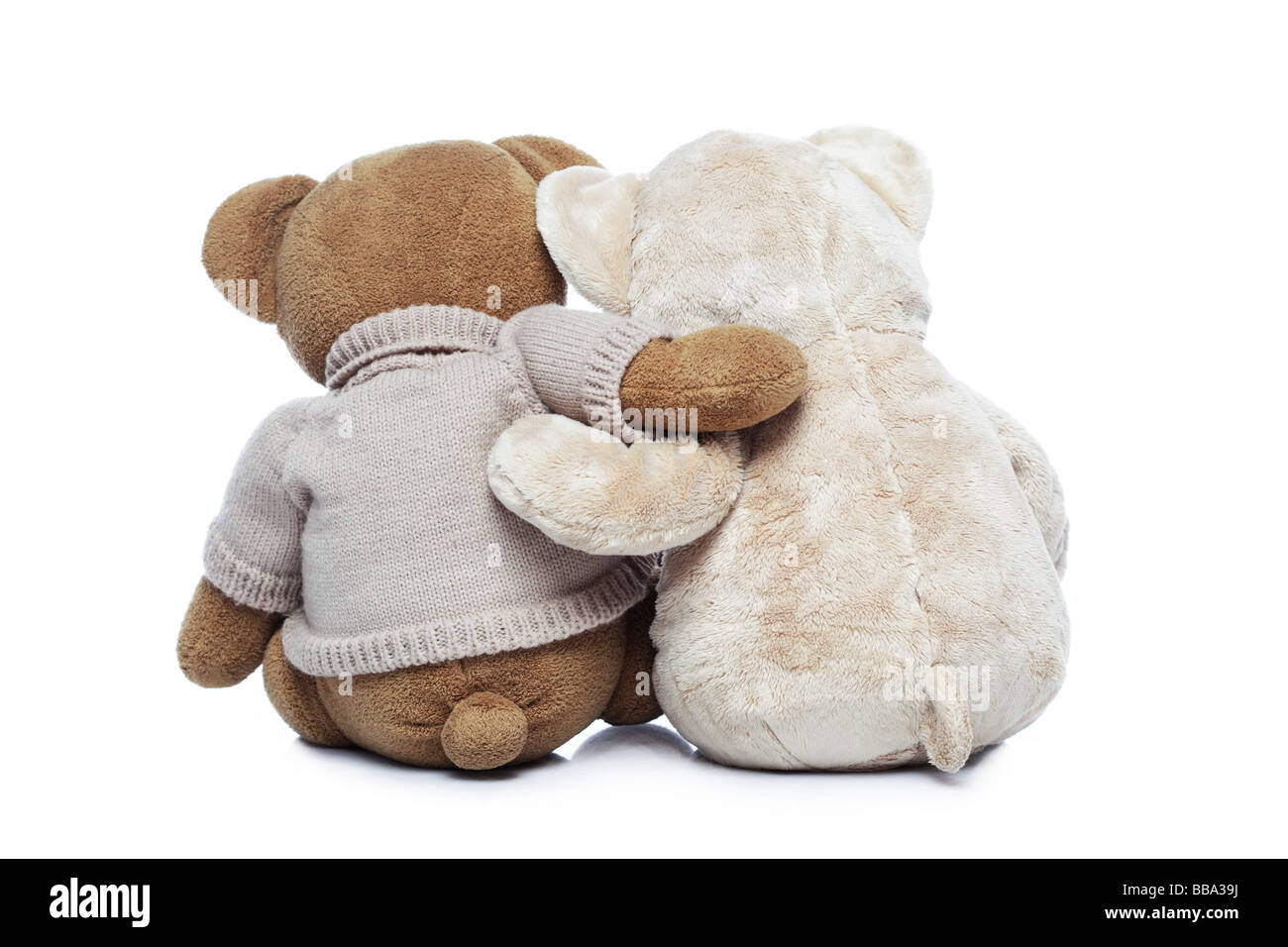 Vue arrière de deux ours en serrant l'autre sur fond blanc Banque D'Images