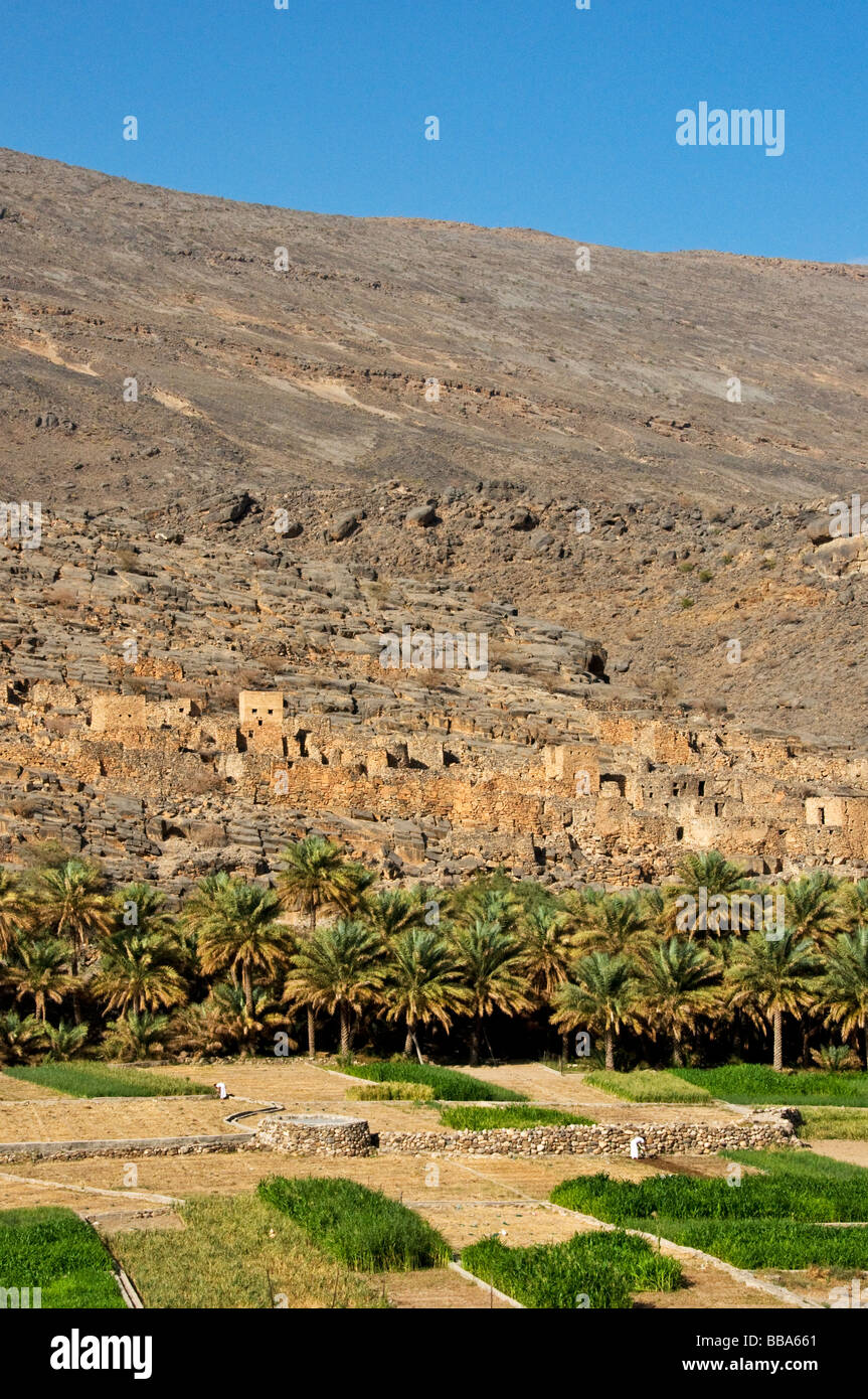 Oman Ghool village et les cultures au début du Wadi Nakhr et Wadi Ghool Dhakiliya dans la région de l'Oman Banque D'Images