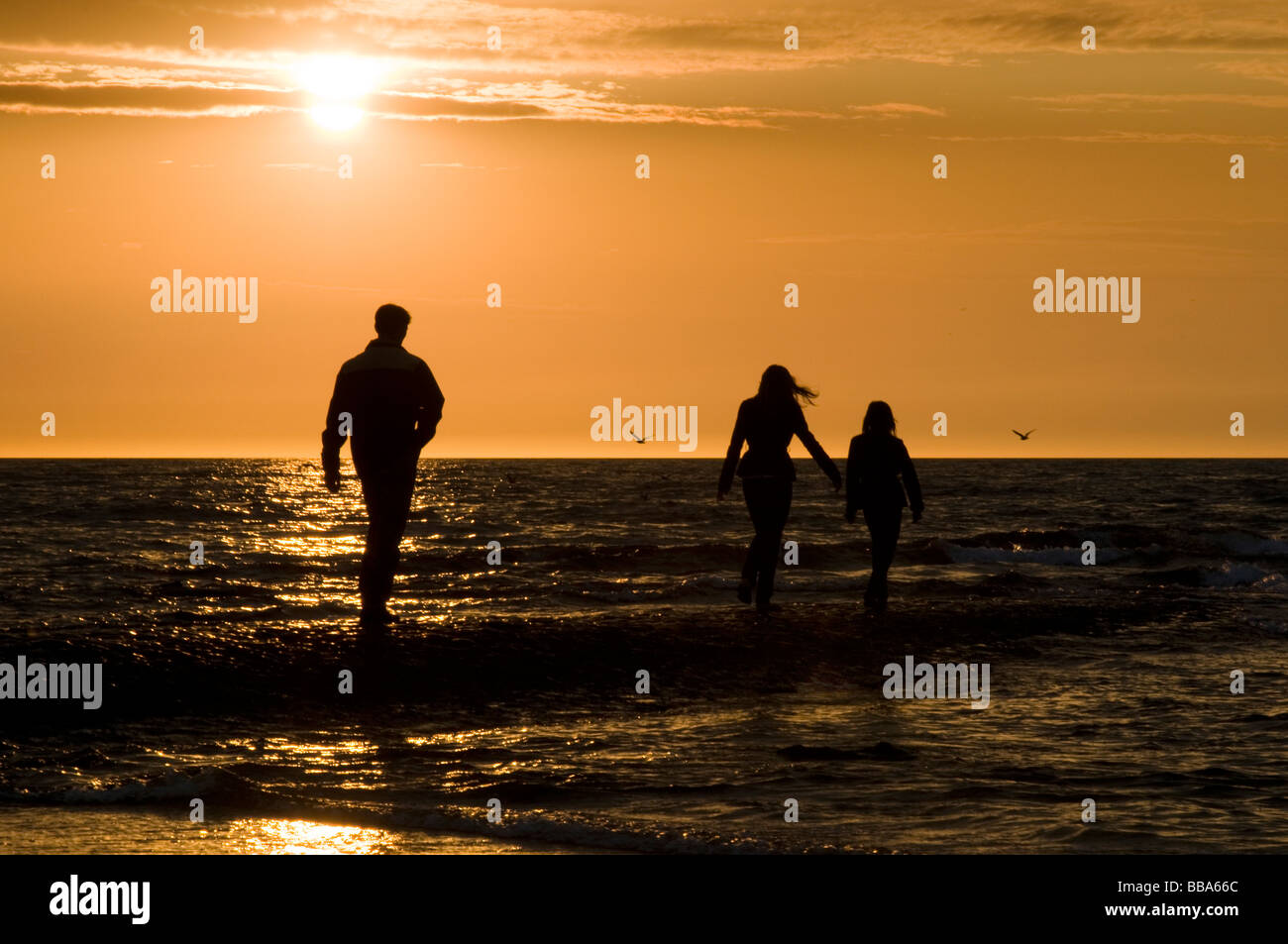 Père et filles à pied le long de plage au coucher du soleil, Scheveningen, Den Haag, Pays-Bas Banque D'Images